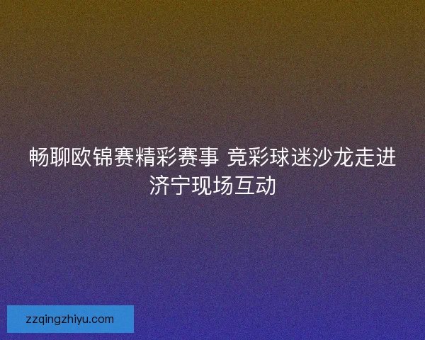 畅聊欧锦赛精彩赛事 竞彩球迷沙龙走进济宁现场互动