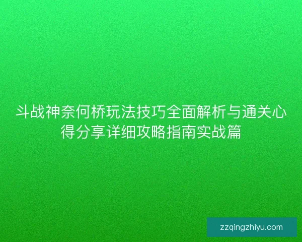 斗战神奈何桥玩法技巧全面解析与通关心得分享详细攻略指南实战篇